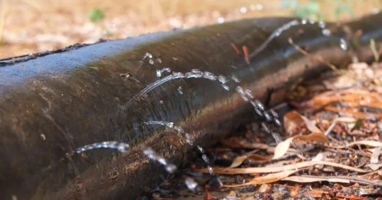 An extreme close-up showing a large, black pipe leaking water onto the ground covered in dead leaves and dirt.