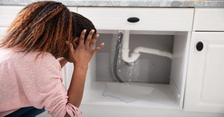 A woman wearing a pink blouse has her hands on her head as she looks at a white pipe that is leaking water in a cabinet.
