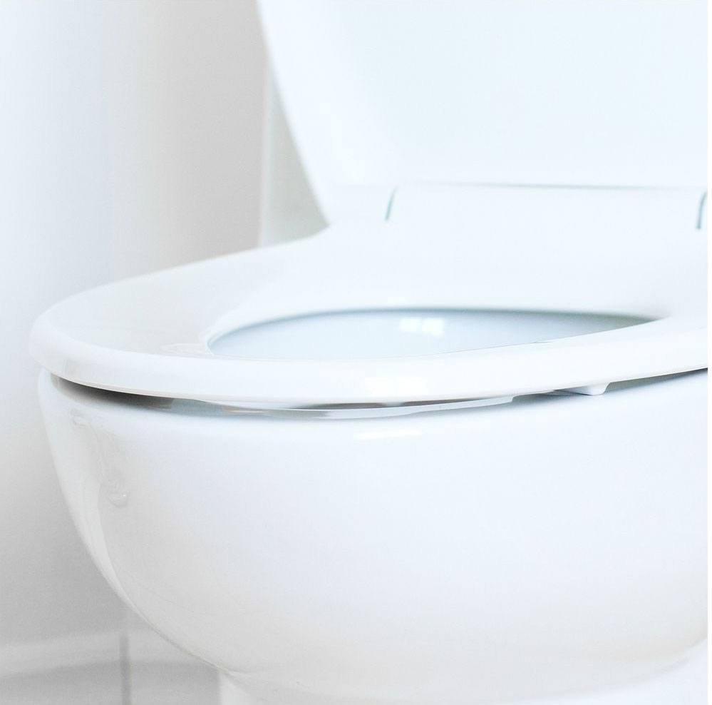 toilet closeup toilet closeup
