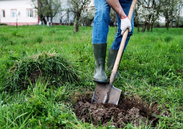 Why You Should Call Before You Dig