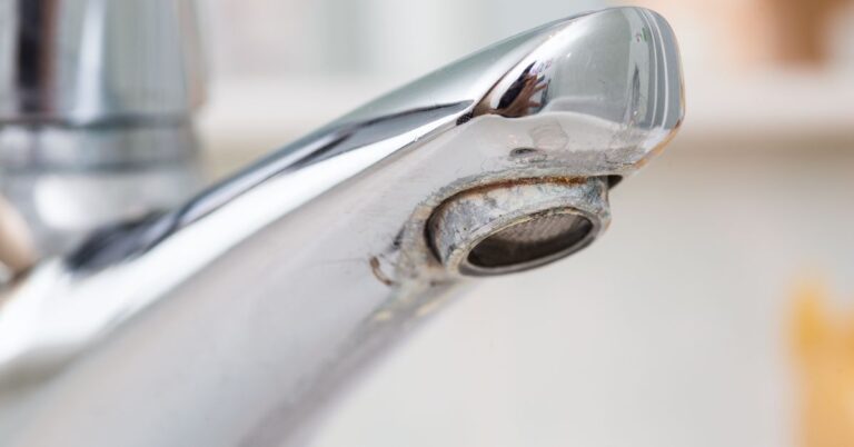 A Look at Home Water Treatments for Hard Water Damage